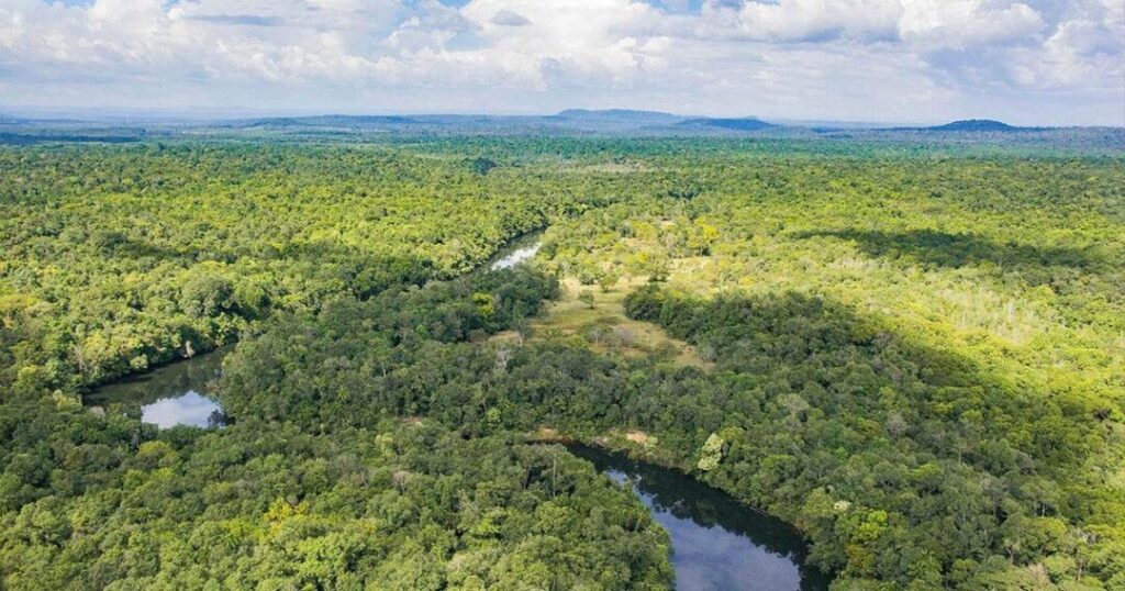 Cardamom Mountains