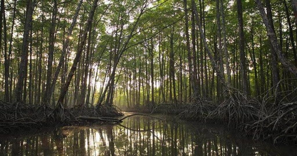 Indravati National Park, Chhattisgarh