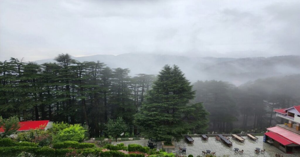 Patnitop 