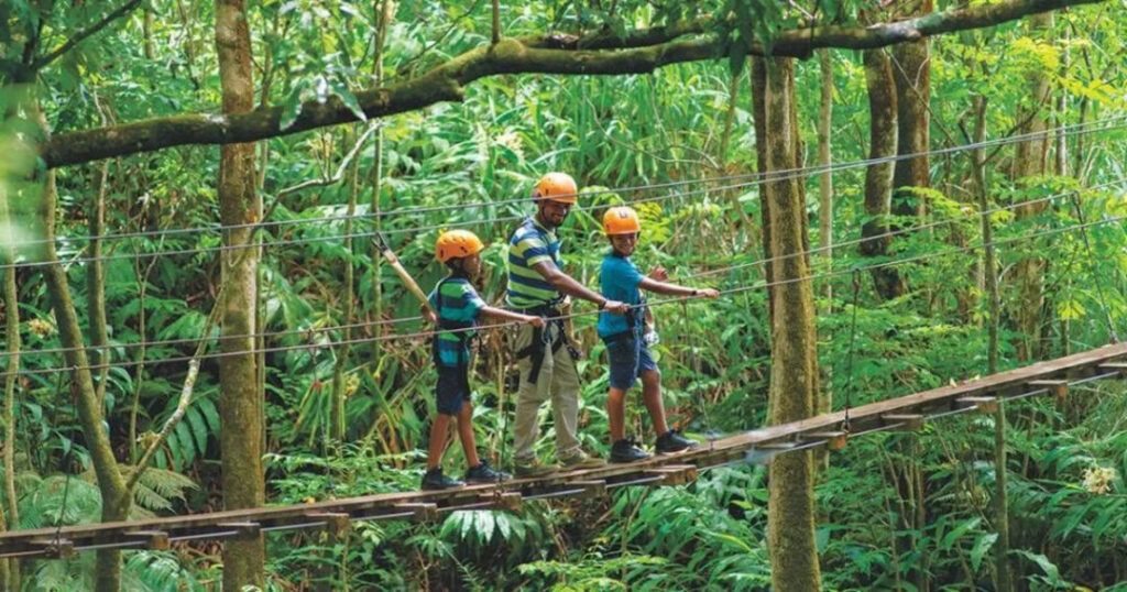 Zip-Lining & Adventure in the Jungle