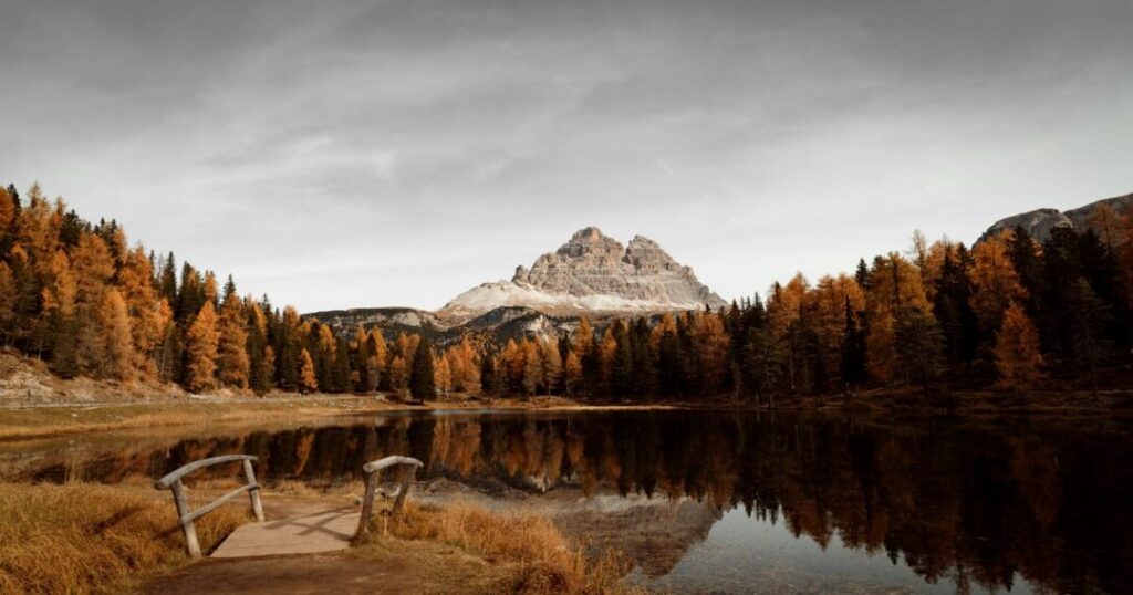 best european countries to visit in autumn - vineyard harvest