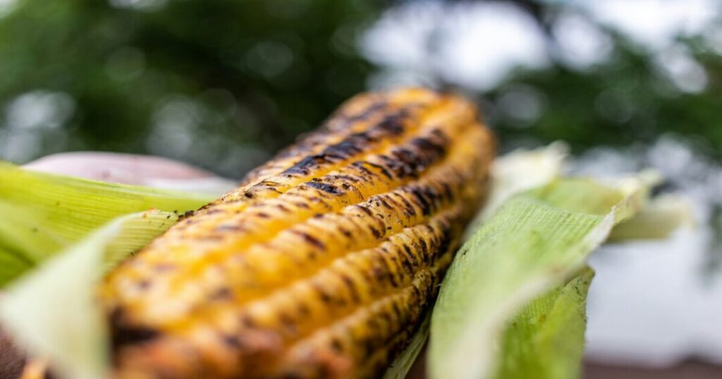 Bhutta (Roasted Corn)