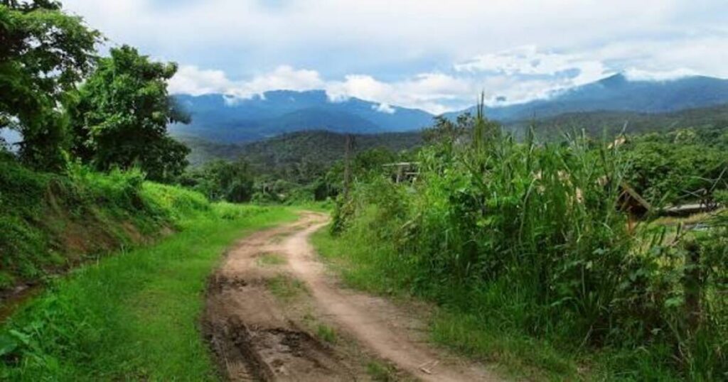 Doi Suthep-Pui National Park 