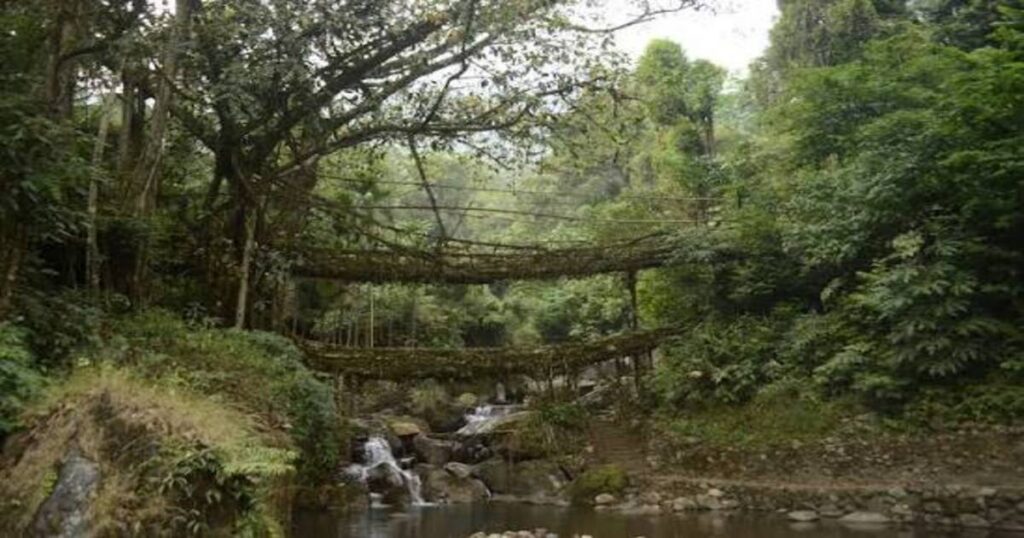 Double Decker Living Root Bridge — Nongriat