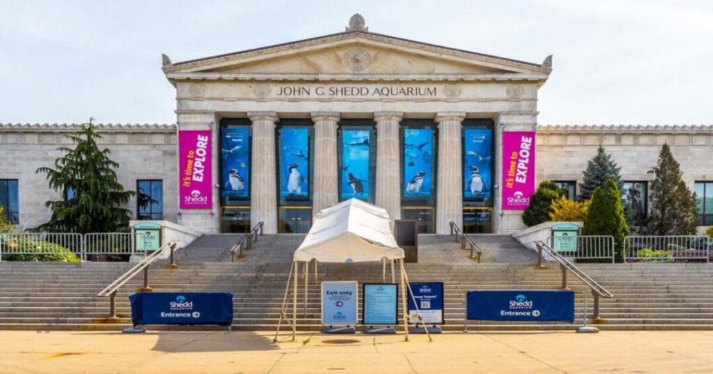 Family-Friendly Chicago Tourist Spots