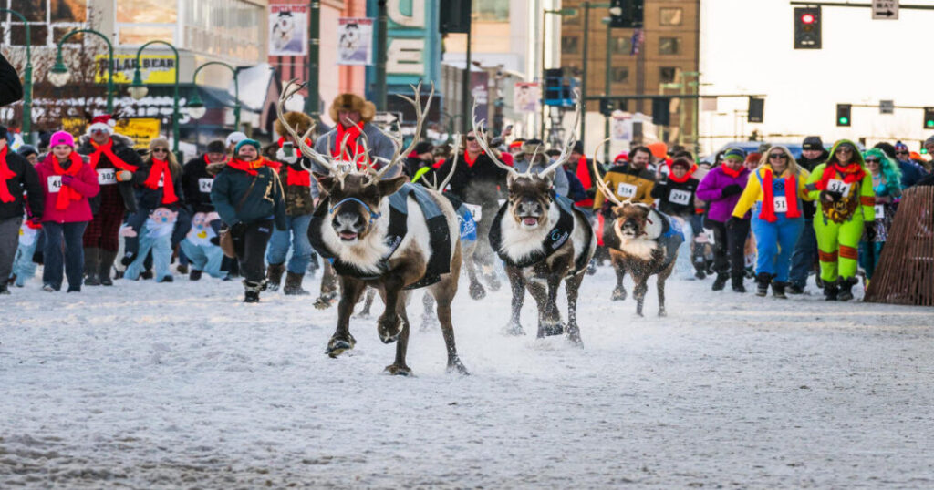 Fur Rendezvous 