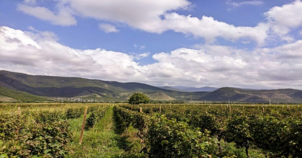 Georgia: The Birthplace of Wine