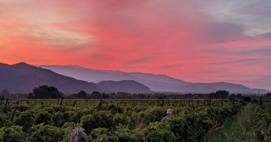 Best Time to Visit Georgia