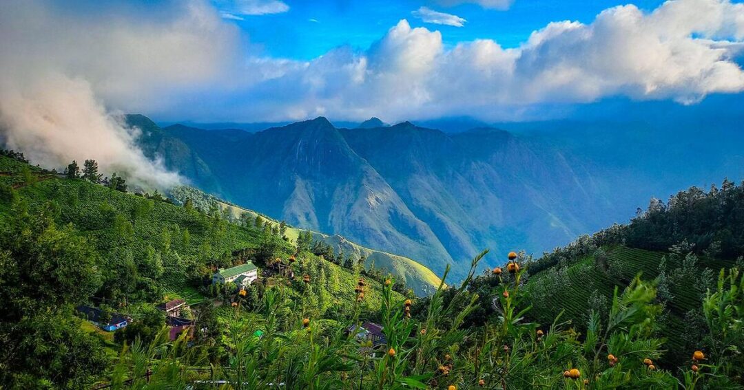 Kolukkumalai Peak