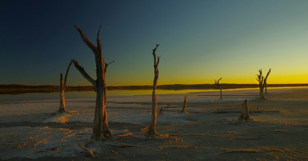 The Endangered Lakes of Our Planet: A Crisis Hidden in Plain Sight