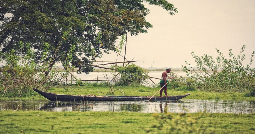 Assam attractions Kaziranga rhino
