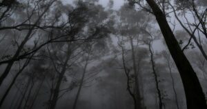 Places to Visit in Yercaud