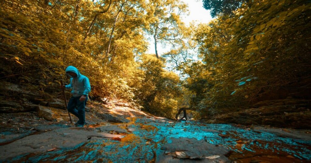 Brahmagiri Trek