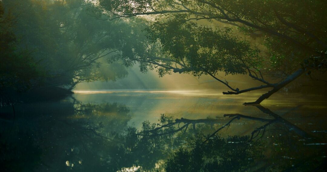 Largest National Parks in India