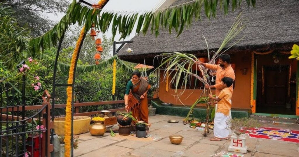 Pongal 
