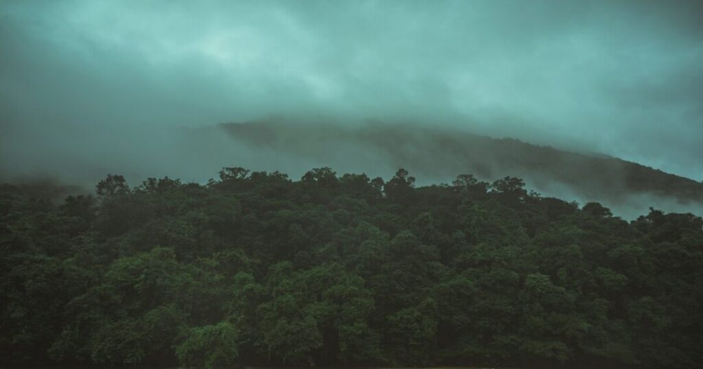 Brahmagiri Trek