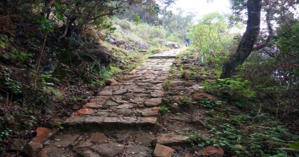 Best Time to Visit Coonoor