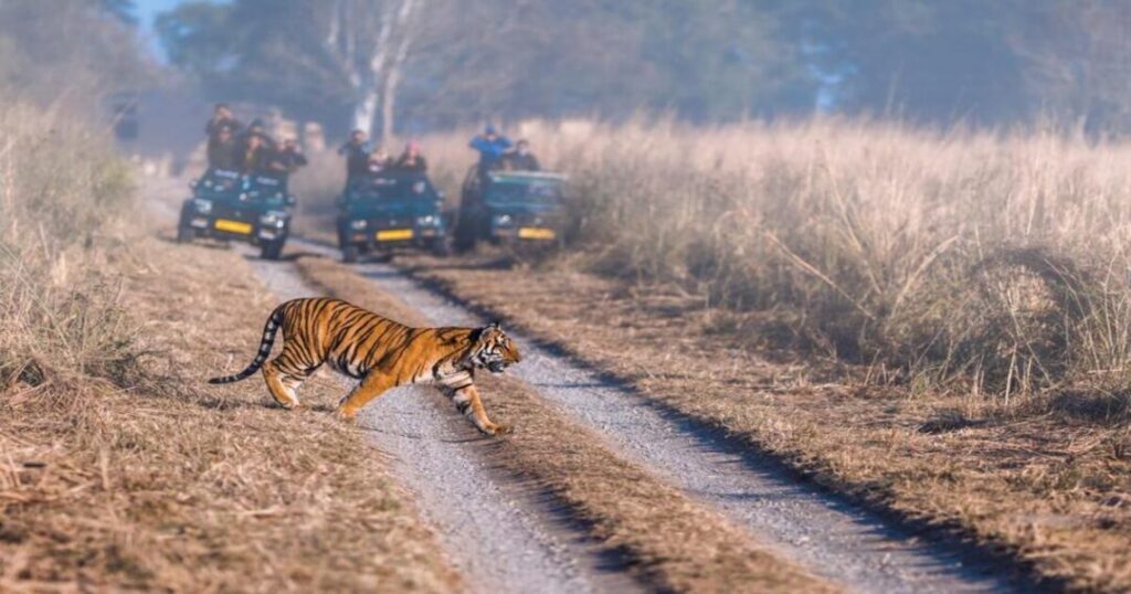 Jim Corbett (Budget Planning)