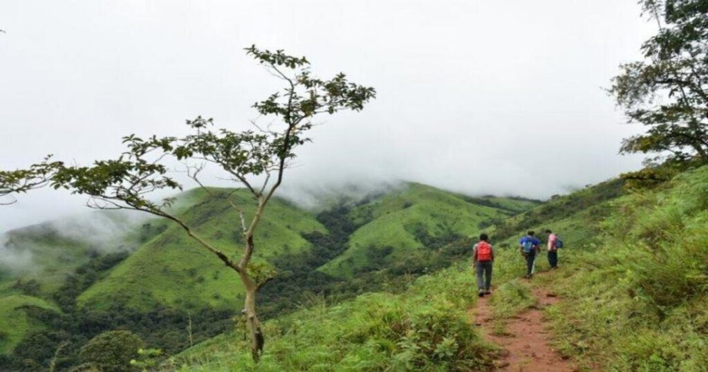 Netravati Peak trek Karnataka meadow trail