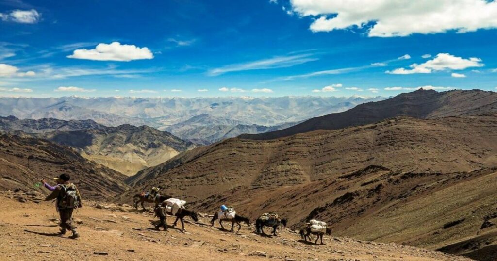 Markha Valley Trek
