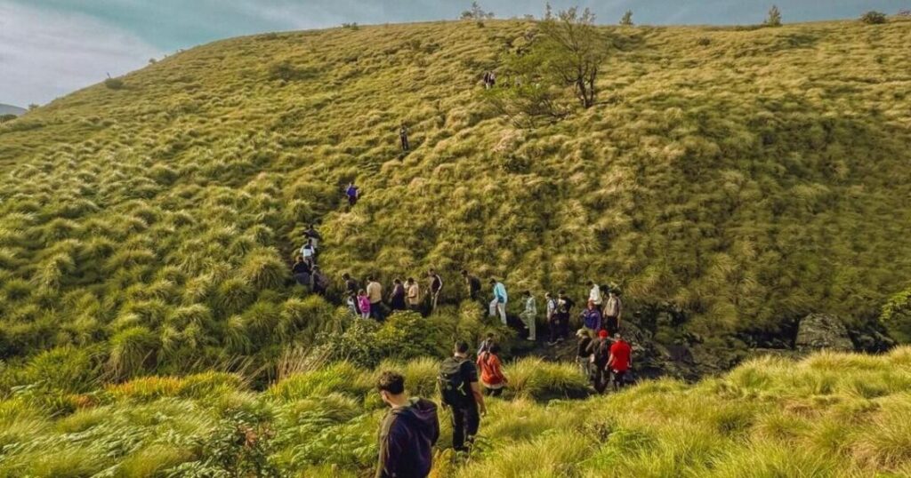 Wildlife and Monsoon Practicalities on the Meesapulimala Trek