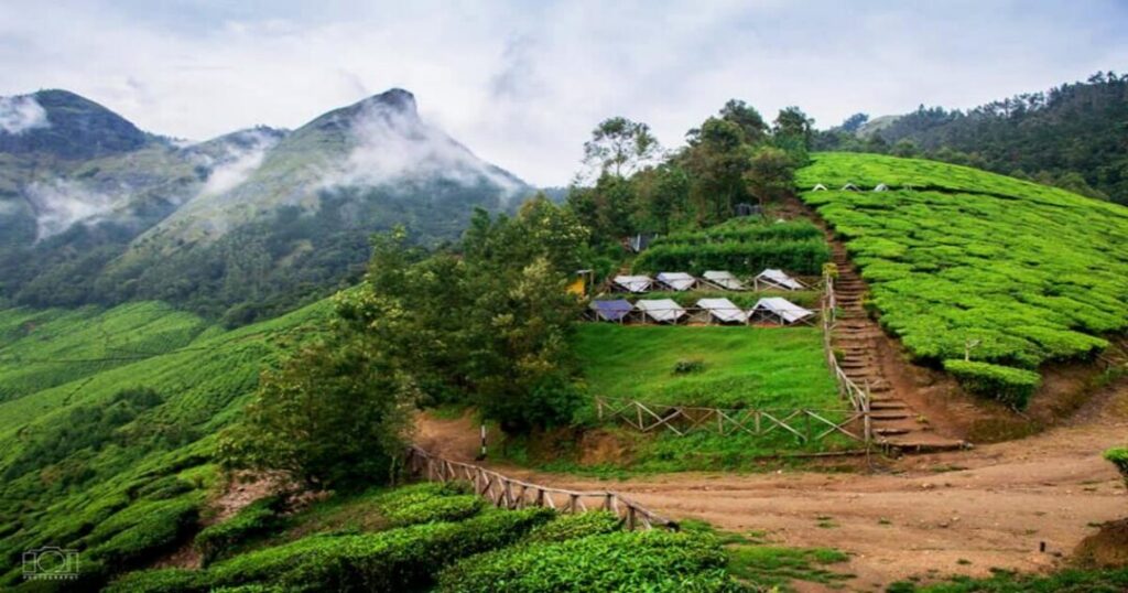 Munnar, Kerala 