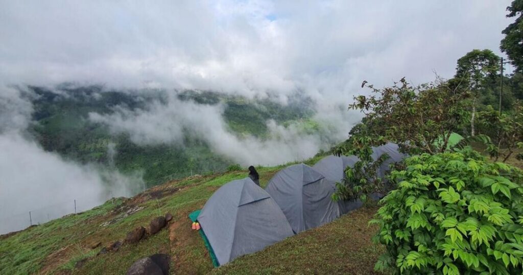 Wayanad, Kerala 