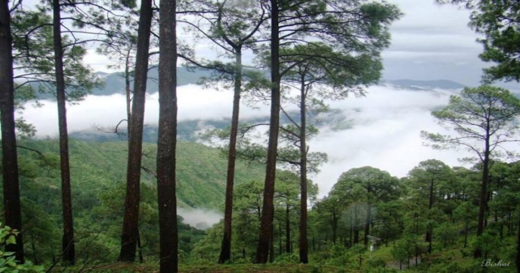 Lansdowne — A Quiet Himalayan Escape