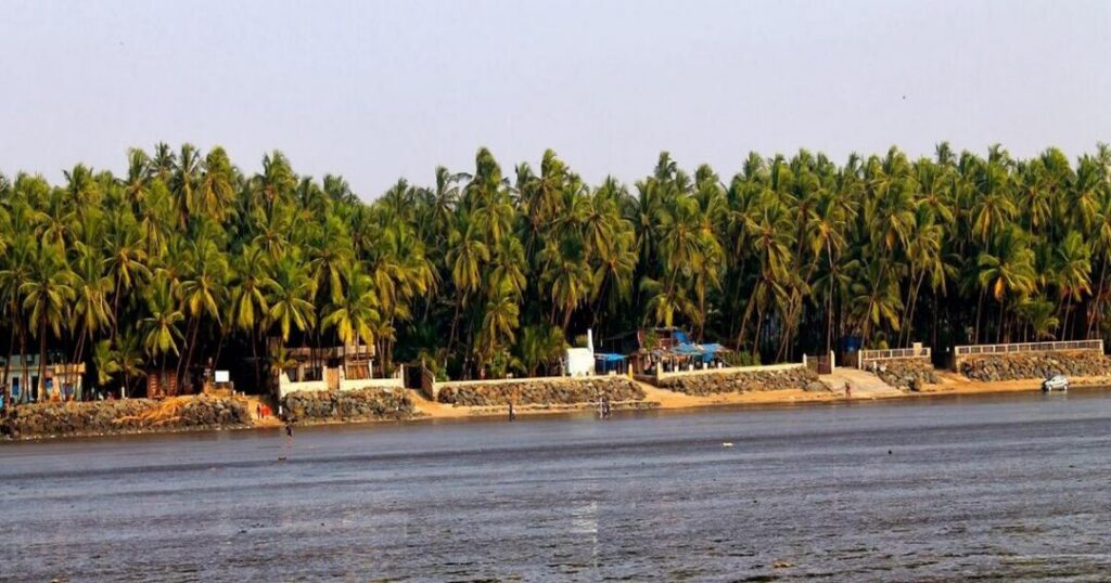 Akshi Beach: Mangroves and Quiet Sand