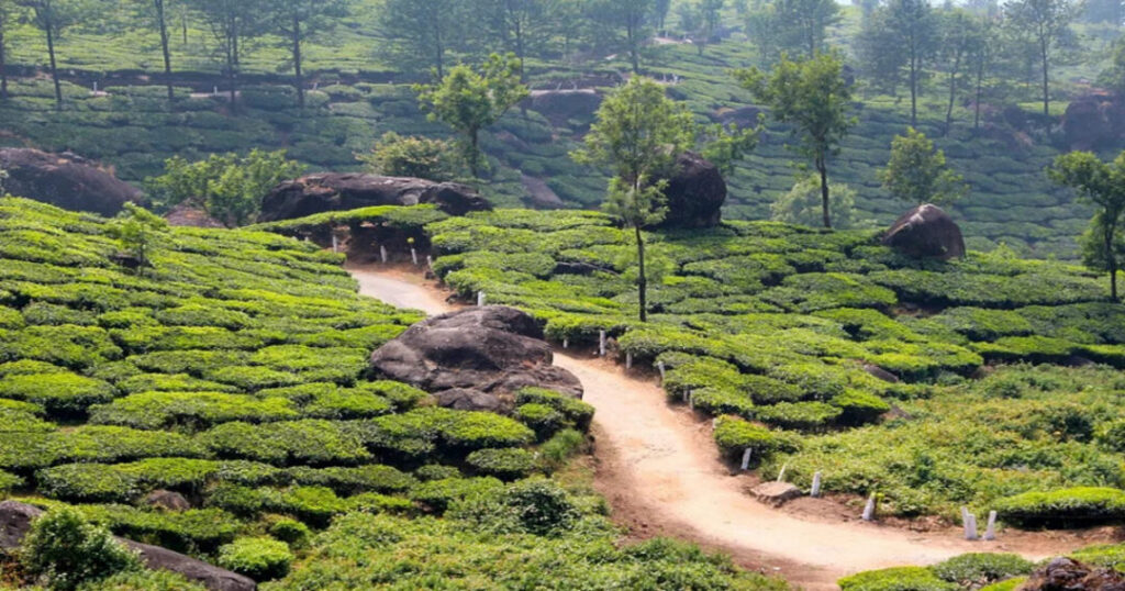Dhanaulti: Eco Park's Amber and Dhara Trails