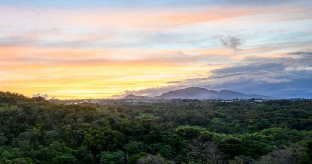  Dominica, the Nature Island