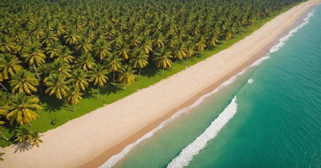 Kihim Beach: Where Biodiversity Takes Over