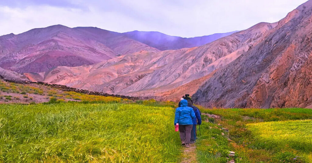 Markha Valley Trek