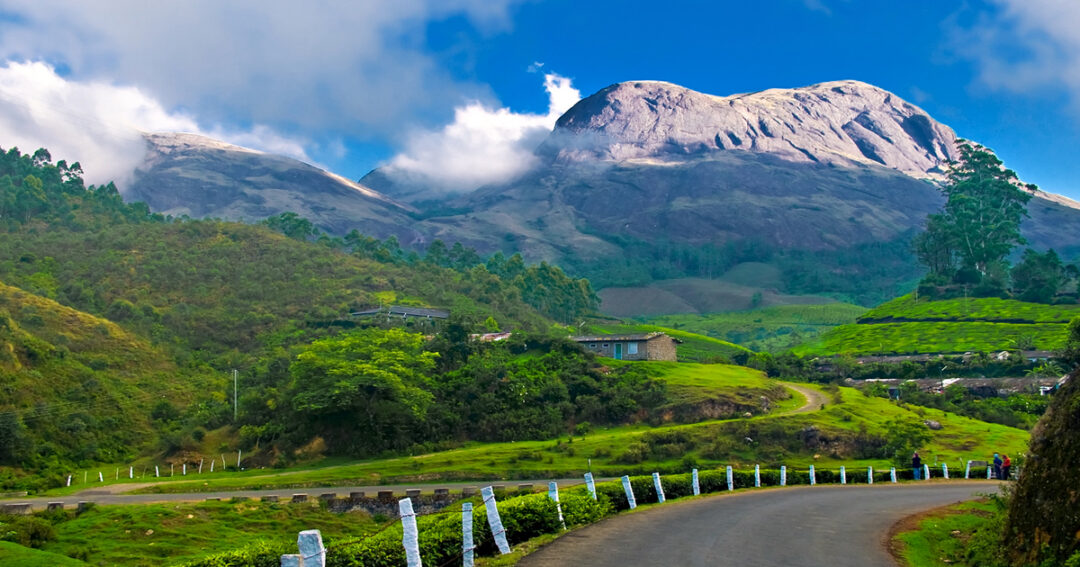 Munnar Trek