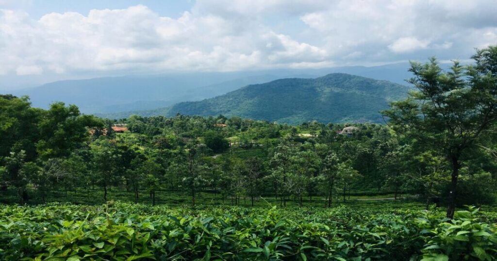Places to Visit in Trivandrum-
Ponmudi
