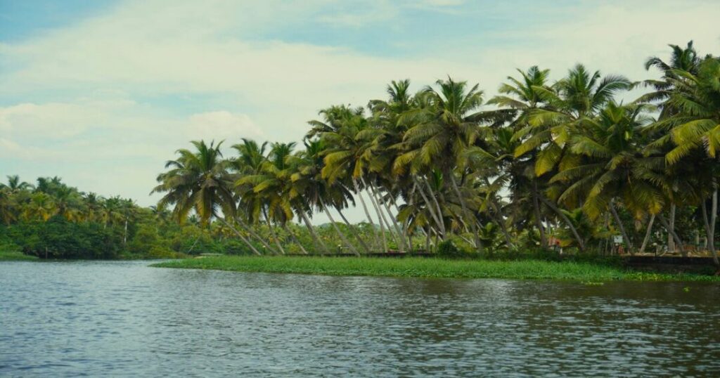 Poovar: Floating Cottages on Kerala's Quietest Backwater