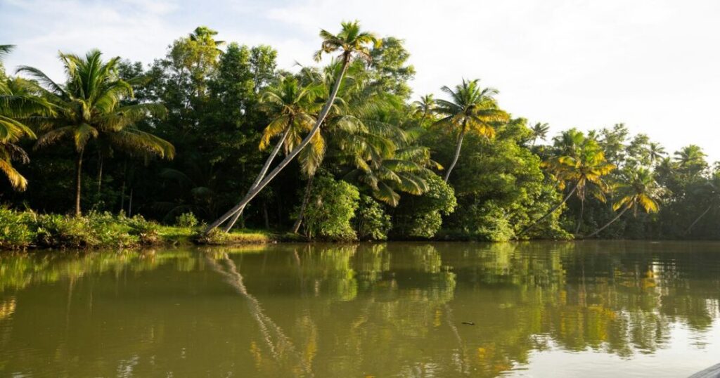 Places to Visit in Trivandrum—Poovar Island