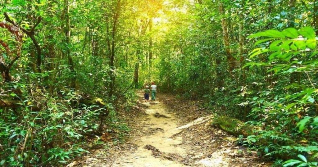 Vinpearl Safari and Phu Quoc National Park