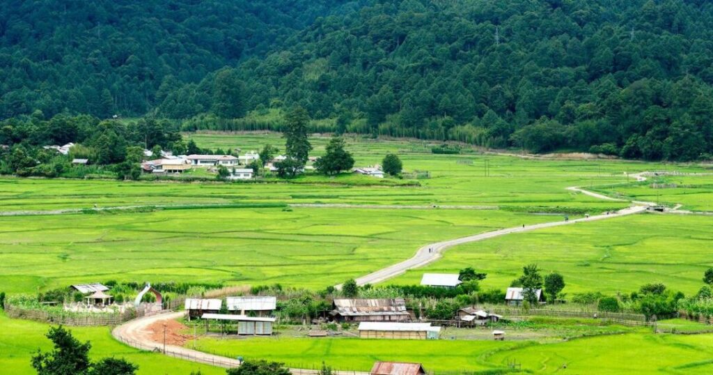 Ziro Valley: Among the Top Northeast India Tourist Attractions
