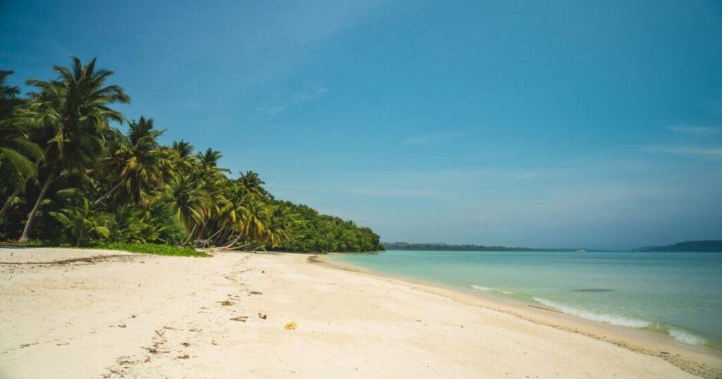 Andaman's Havelock and Neil Island: The More Accessible Alternative