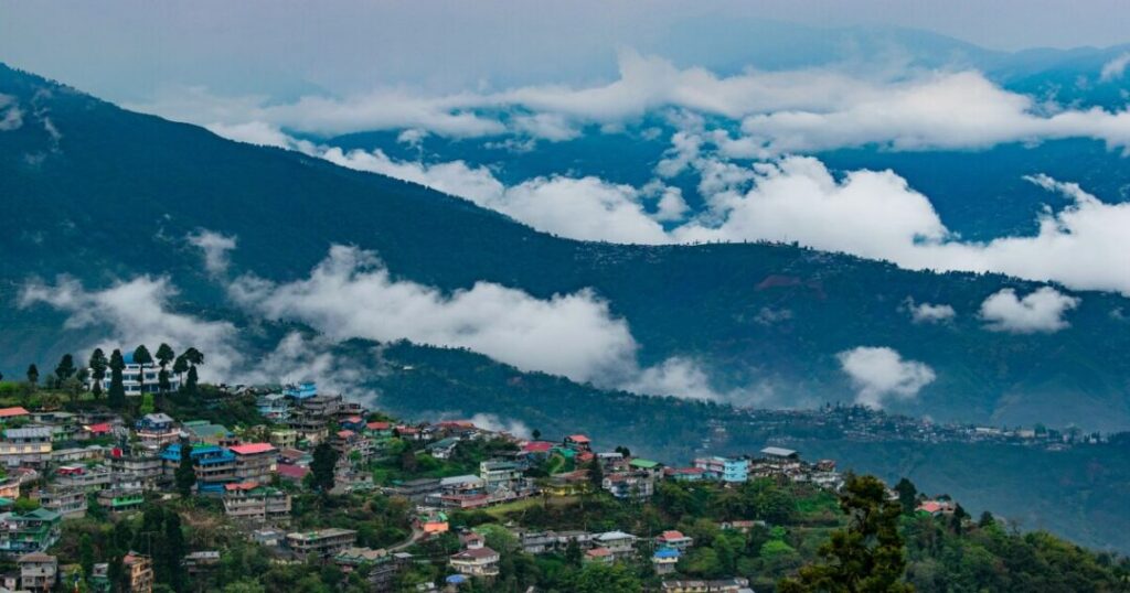 Darjeeling tea garden tour hillside plantation view