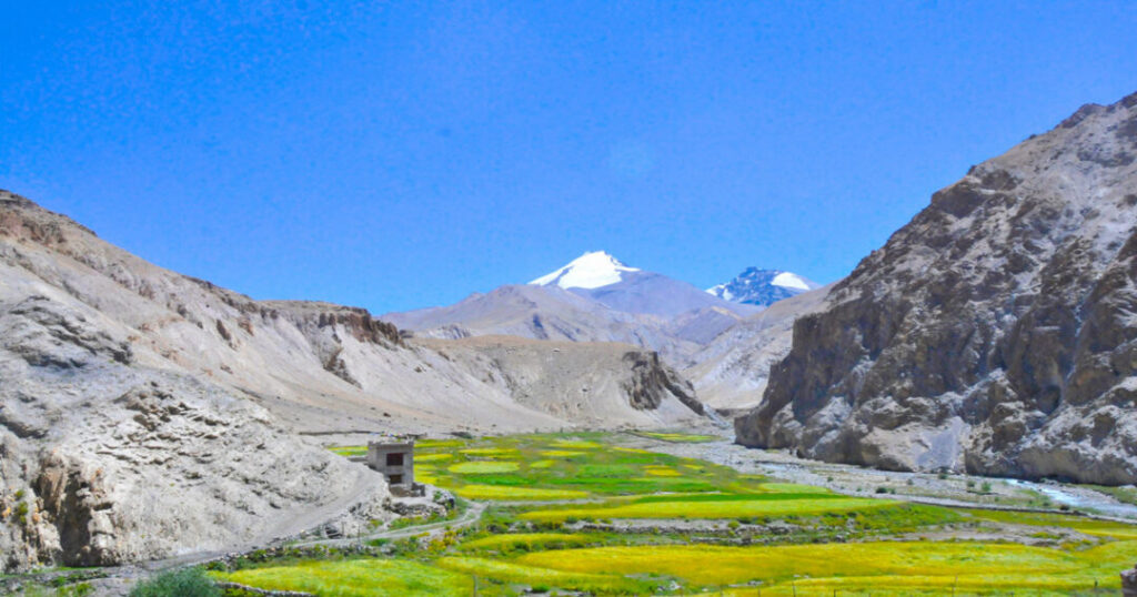 Markha Valley Trek