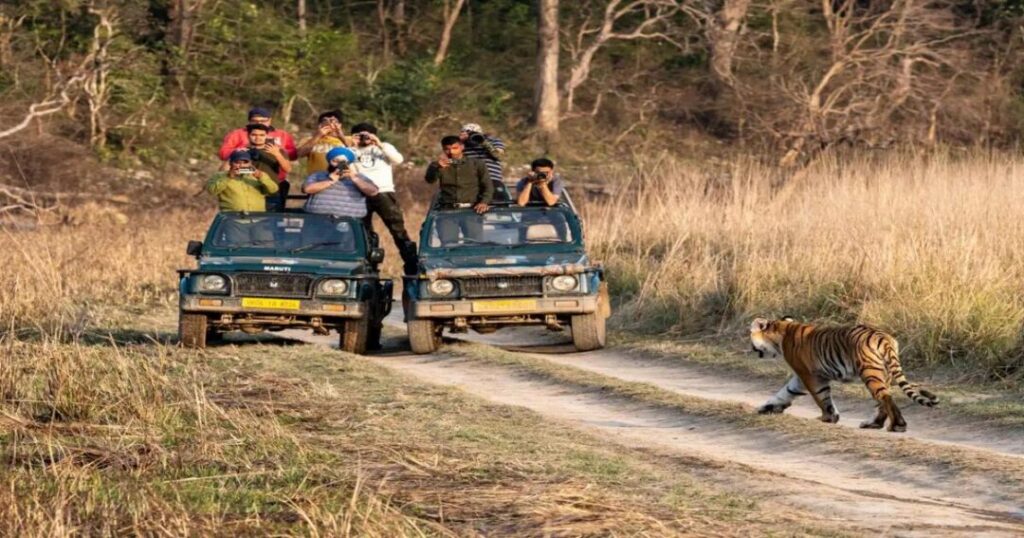 Adventure Activities in Jim Corbett