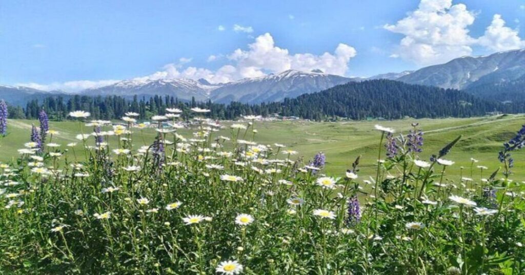 Things to Do in Gulmarg