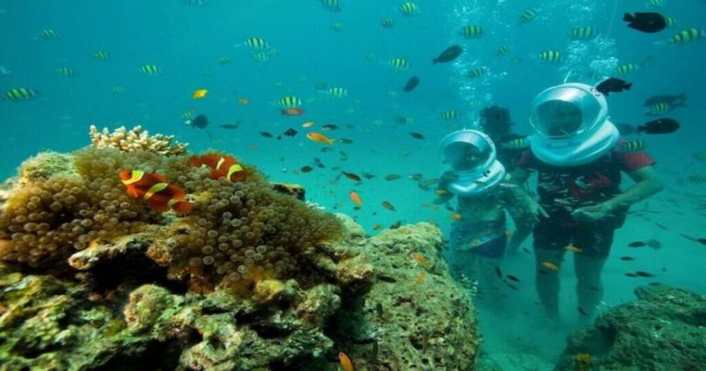 More Things to Do in Havelock