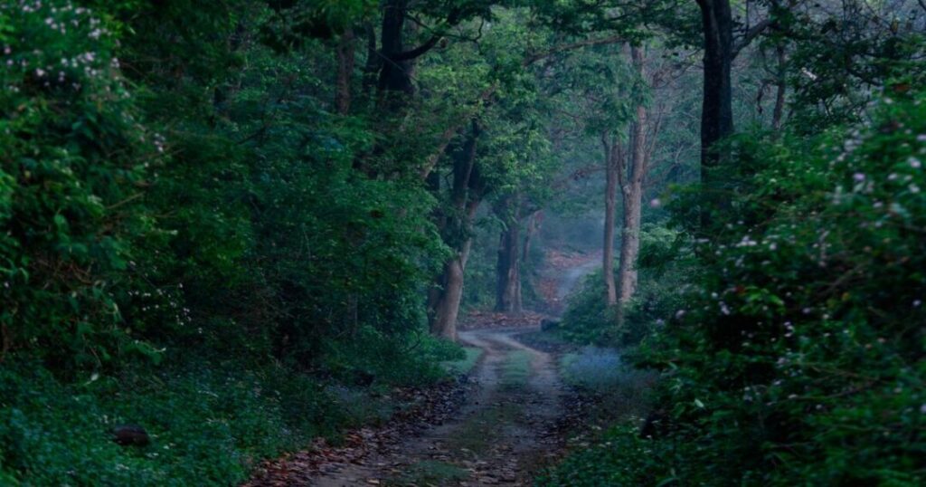 Things to Do in Jim Corbett with Family