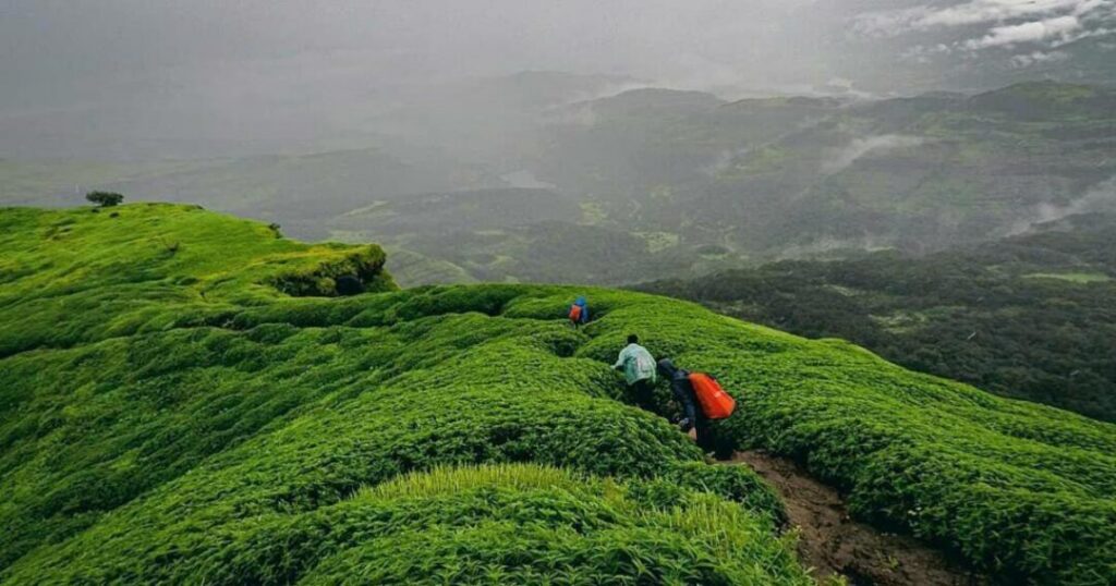Ratangad Trek