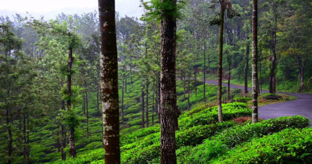 Wayanad Tourist Places