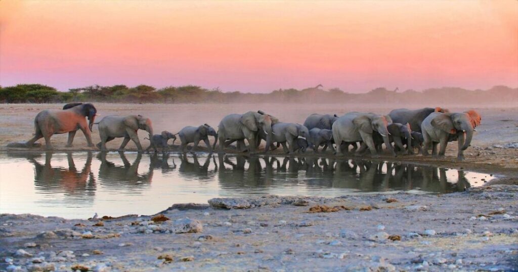 Best Places to Visit in Namibia