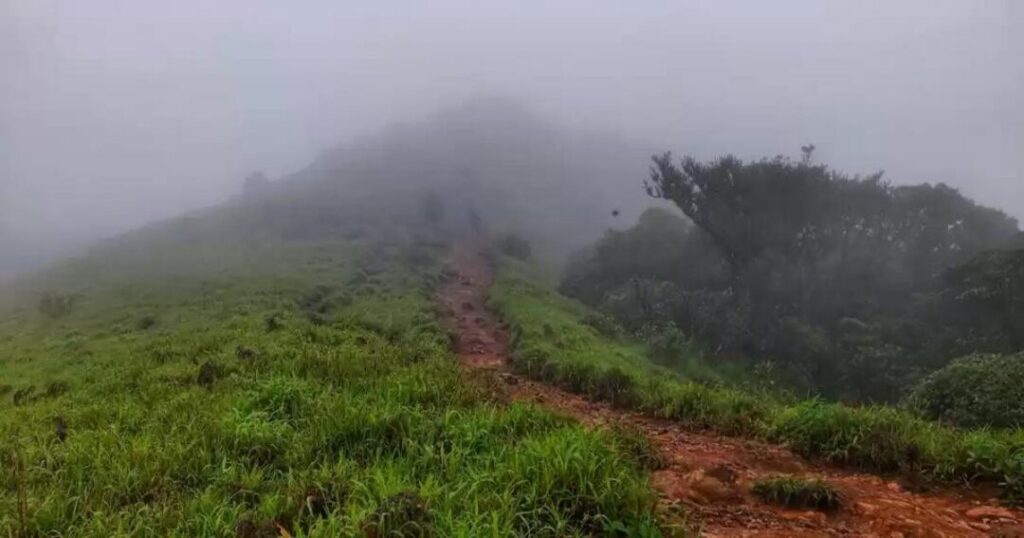 Tadiandamol Trek 